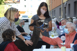 News_Tirischer Besuch_3