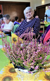 News_Der Herbst ist da-Heidekraut II