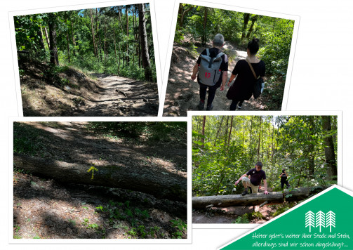 Zusammenstellung Firmenwandertag_8
