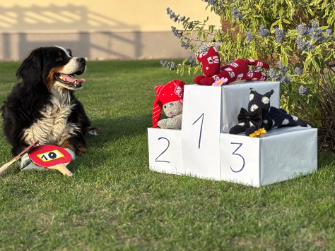 _alltagshelden - Fotowettbewerb - Jeannine Böhlert