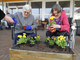 News_Blumenkästen_I