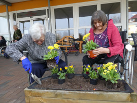 News_Blumenkästen_