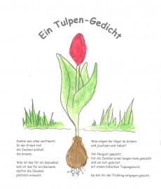 Tulpengedicht